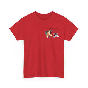 Australia All About Puppies and Kittens - Kitten option #2