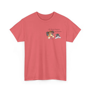 Australia All About Puppies and Kittens - Kitten option #2